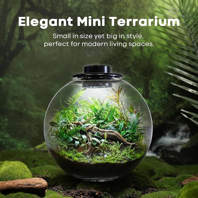 Desktop Glass Terrarium Bowl with Grow Light Adjustable(H:8" D:8"), for Succulent, Moss, Miniature Gardening Landscape, Betta Fish Tank, Indoor Plant Growth, Office Home Decoration, Lovers Gifts