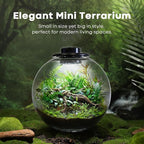 Desktop Glass Terrarium Bowl with Grow Light Adjustable(H:8" D:8"), for Succulent, Moss, Miniature Gardening Landscape, Betta Fish Tank, Indoor Plant Growth, Office Home Decoration, Lovers Gifts