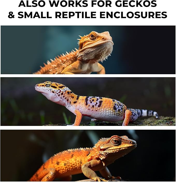 Bearded Dragon Tank Cleaning Kit, Reptile Enclosure Cleaning Tool Set with Mini Dustpan, Brush, Scraper & Cleaning Cloth for Lizard & Gecko Terrarium Maintenance