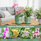 Ceramic Orchid Pot, 5+6 Inch Orchid Pots with Holes, Promoting Air Circulation and Drainage, Indoor/Outdoor Flower Pots - Pea Green
