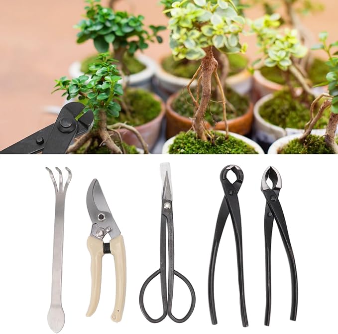 5 Piece Bonsai Tool Set, Carbon Steel Bonsai Scissors Rake Branch Cutter Pruning Shears Pliers Garden Tools