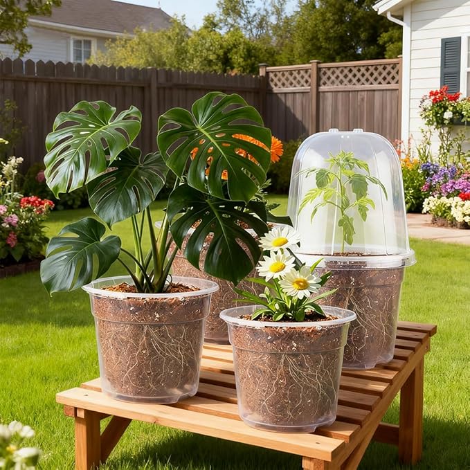 RooTrimmer 6 Inch Clear Nursery Pots with Humidity Dome, 30 Pack Reusable Seed Starter Pot with Drainage Holes, Transparent Plastic Plant Seedling Pots for Propagation Indoor Plants Outdoor Gardening