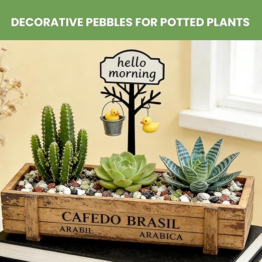 Gravel for Plants, 3/8 Inch Pebbles Polished Decorative Aquarium Gravel - Small River Rocks for Fish Tank, Succulent, Vase, Bird Bath, Garden Landscaping and Top Dressing-3LB