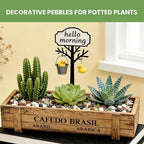 Gravel for Plants, 3/8 Inch Pebbles Polished Decorative Aquarium Gravel - Small River Rocks for Fish Tank, Succulent, Vase, Bird Bath, Garden Landscaping and Top Dressing-3LB