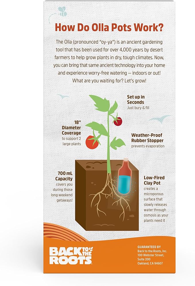 Back to the Roots Self-Watering Terracotta Olla Pot, 700mL Provides 1 Week of Precision Watering