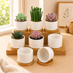 ZOUTOG Ceramic Succulent Pots 8 Pack,3.6 Inch Plant Pots,Succulent Planters with Drainage Hole & Bamboo Tray for Indoor Plants,White Small Flower Planters for Home,Office,Desk