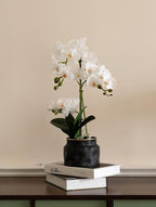 Avoeco Artificial Real Touch Orchid Plant – 20″ Faux Phalaenopsis in Pot – Highly Realistic Silk Orchid Flower & Leaf Texture for Home, Office,Shop & Wedding Décor (1 White, 20”)