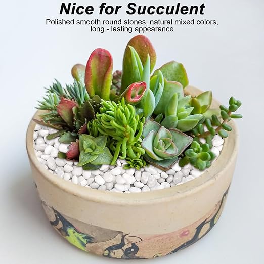 Fish Tank Rocks,Landscaping Pebbles,Decorative Ornamental Pebbles Garden,Landscaping Stones Gravel Filler for Home Decoration Flower Bed Fish Tank Plants Vases Succulents (5 Pounds, White)