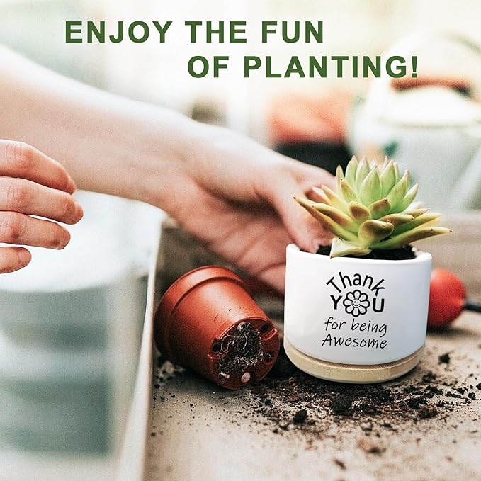 Thank You Gifts for Women, Succulent Planter, Flower Cactus Plant Pot, Employee Appreciation Gifts for Coworkers Nurse Friends Women, Thank You for Being Awesome (No Plants)