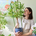Legigo 6 Pack 36 Inch Plant Support Cages Tomato Cage for Garden- Plant Cages Adjustable Rings, Tomato Plant Support Stakes Trellis for Pots, Peppers, Cucumbers and Flowers with 10 Plant Clips