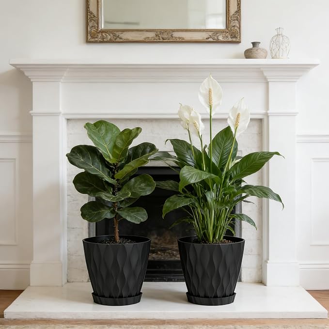 UOUZ 8 Inch Plant Pots, 2 Pack Plastic Planters for Indoor Outdoor with Drainage Holes & Saucers, Waffle Texture Flower Pots for Indoor Plants, Indoor Plant Pots for Monstera, Fiddle Leaf Fig, Black