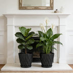 UOUZ 8 Inch Plant Pots, 2 Pack Plastic Planters for Indoor Outdoor with Drainage Holes & Saucers, Waffle Texture Flower Pots for Indoor Plants, Indoor Plant Pots for Monstera, Fiddle Leaf Fig, Black