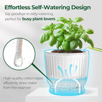 T4U 6 Inch Self Watering Pots for Indoor Plants, 4 Pack Self Watering Planter, Self Watering Pot with Reservoir, Clear Self Watering Pots for Indoor Plants, African Violets (4 Pack, 6", Clear)