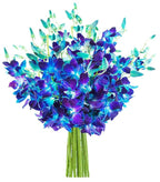 KaBloom - 20 Blue Orchid without vase - Fresh Flowers for Birthday, Valentine's & Mother's Day