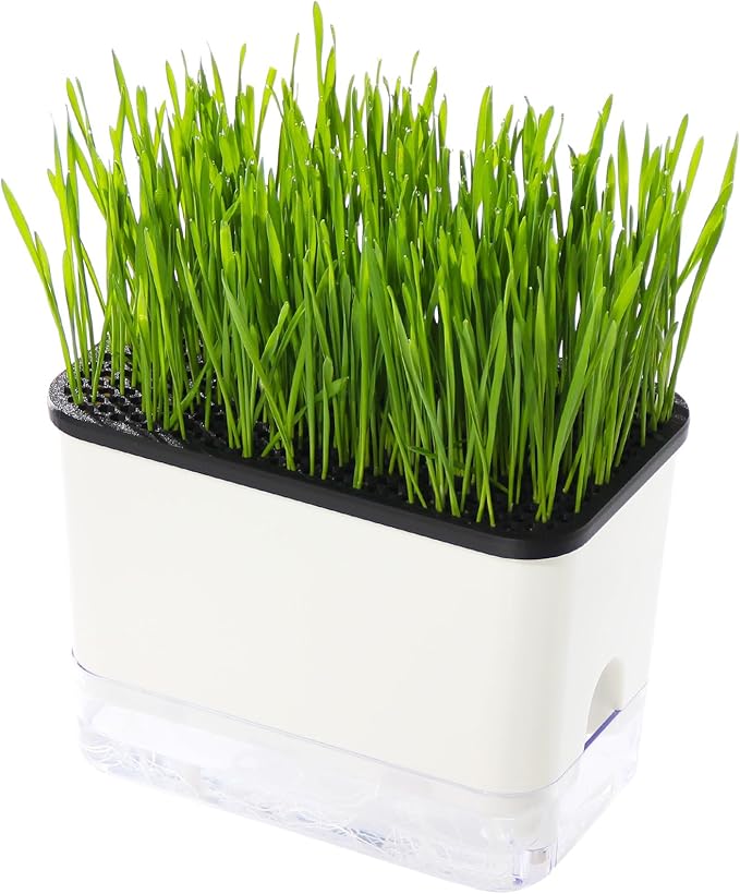 Self-Watering Cat Grass Planter (no Seed Included), with Drainage Holes and Anti-Digging Design, Wheat Grass Growing Pot, Cat Grass for Indoor Cats Pets (1)