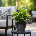 8 Inch Plant Pot - Ceraimc Planter for Indoor Outdoor Plants, Round Flower Pots with Drainage and Tray, House Decor, Black