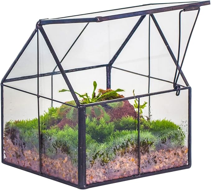 NCYP Mini Glass Terrarium with Lid - 4.25" x 4.25" x 4.92" Small House Shape Close Geometric Planter Pot for Mini Succulents Plant - Handmade, Home Garden Office Decor, Black (Terrarium Only)