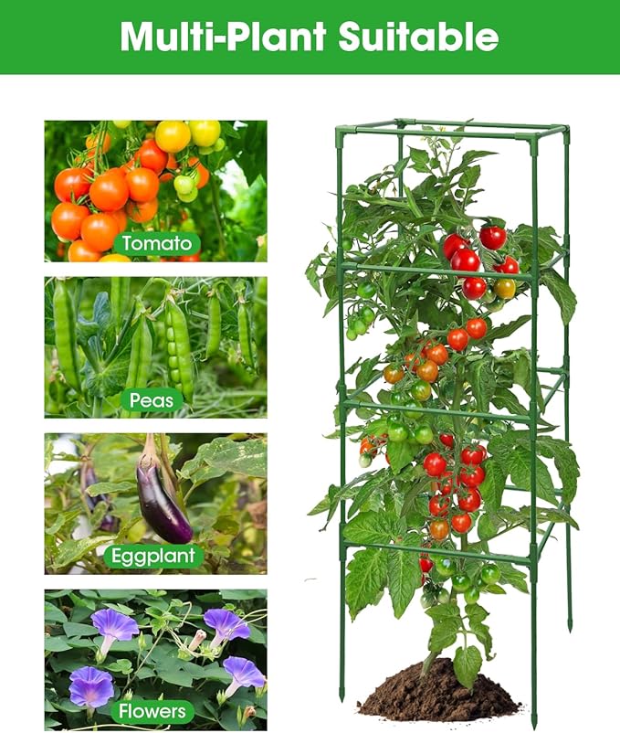MYMULIKE 6 Pack Tomato Cage, Square Tomato Cages for Garden, Plant Trellis for Pots, Raised Garden Bed, Plant Support Stakes- 20 Clips Included