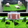 Aquarium G-r-a-s-s P-l-a-n-t - 3 Pack | Easy-Growing Water P-l-a-n-t for Fish Tank Aquarium