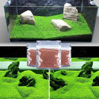 Aquarium G-r-a-s-s P-l-a-n-t - 3 Pack | Easy-Growing Water P-l-a-n-t for Fish Tank Aquarium
