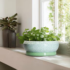 Bonsai Pots - 13 Inch Ceramic Succulent Pots for Indoor Outdoor, Large Shallow Planter with Drainage Hole and Saucer, Round Flower Succulent Planter, Patio Decor, Gifts for Women, Green
