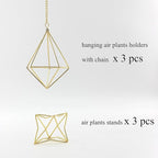 Air Plant Hangers with Chains, 6 Pcs Gold Tillandsia Holders for Wall/Ceiling Decor, 3 Hangers + 3 Stands Set, Boho Indoor Home Office Display, Modern Air Fern Plant Décor