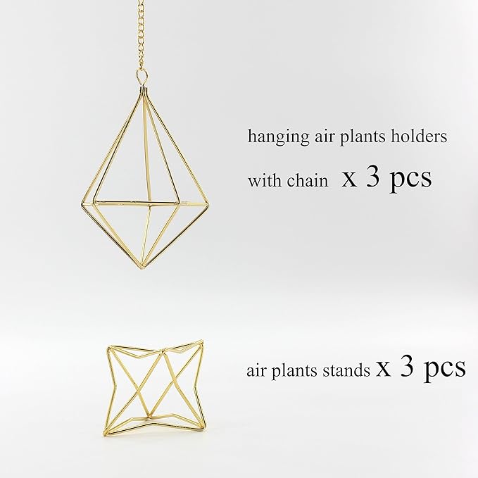 Air Plant Hangers with Chains, 6 Pcs Gold Tillandsia Holders for Wall/Ceiling Decor, 3 Hangers + 3 Stands Set, Boho Indoor Home Office Display, Modern Air Fern Plant Décor