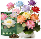 60 PCS Lotus Seeds for Planting in Water - Mixed Color Bowl Lotus Seeds, Non-GMO Aquatic Plant Water Lily Seeds for Indoor Bonsai, Outdoor Ponds & Garden