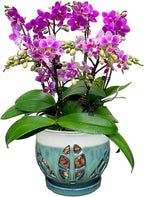 W&W Orchid Pot with Holes and Saucer for Repotting, Teal Mix, 6.5"