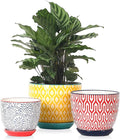 Selamica Ceramic Plant Pots, 4.6+5.6+6.5 Inch Planters with Drainage Holes & Saucer, Flower Pots for Indoor Plants, Home Decor, Set of 3, Assorted Colors