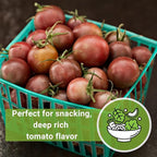 Sow Right Seeds - Black Cherry Tomato Seeds for Planting - Non-GMO Heirloom Packet with Instructions to Plant a Home Vegetable Garden - Tasty Snacking Variety, Start Indoors - Indeterminate (1)