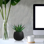 Winlyn Set of 3 Artificial Succulent Plants in Black Concrete Pots Faux Aloe Hops String of Pearls Potted Plants Small Fake Plants Desk Plants for Home Office Desk Kitchen Bathroom Shelf Windowsill