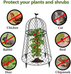 10 Packs Garden Cloches for Plants, Plant Protectors from Animals, Chicken Wire Cloche, Plant Cloche and Cage, Protection for Your Plants and Seedlings, 13" D x 20" H - Black
