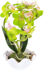 Artificial Phalaenopsis Bonsai in Pot Fake Orchid Flower Green Faux Orchid Bonsai Home Decoration Indoor Floral Arrangement for Living Room Table