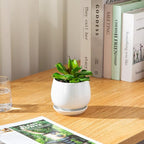 vancasso 3-Pack Ceramic Plant Pots, 3.7/4.8/6.2 Inch Indoor Planters with Saucers & Drainage Hole Planter pots for Indoor Plants and Flower, White