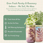 Modern Sprout Garden Jar & Herb Stripper Bundle Self-Watering Herb Grow Kit w/Recyclable Mason Jar + 3-in-1 Prep Peeler & Grater Plate - Indoor Gardening - Gift for Mother's Day (Rosemary & Parsley)