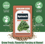 Spinach Seed Pods Kit for Hydroponic, 12 Pods Grow Anything Hydroponics Kit for Indoor Garden, Hydroponics Supplies with 12 Grow Sponges, 12 Plant Baskets, Spinach Seeds - 12 POD