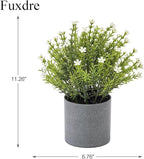 2 Pack Small Desk Plants, Artificial Bathroom Plants Decor with Thyme Flower in Vintage Melamine Pots, Faux Plants Indoor for Shelf Decor in Home Office, and Spring Decor (Ivory)
