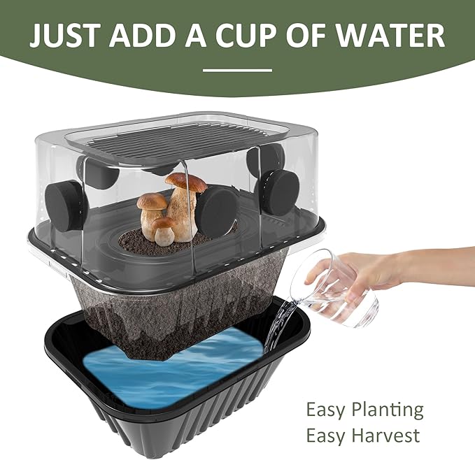 YANWEN Mushroom Growing Kit, Monotub Stackable Grow Box, Fruiting Chamber with FAE Filters, Indoor Use, 12.6 x 12.6 x 6.3 inches, Clear and Black