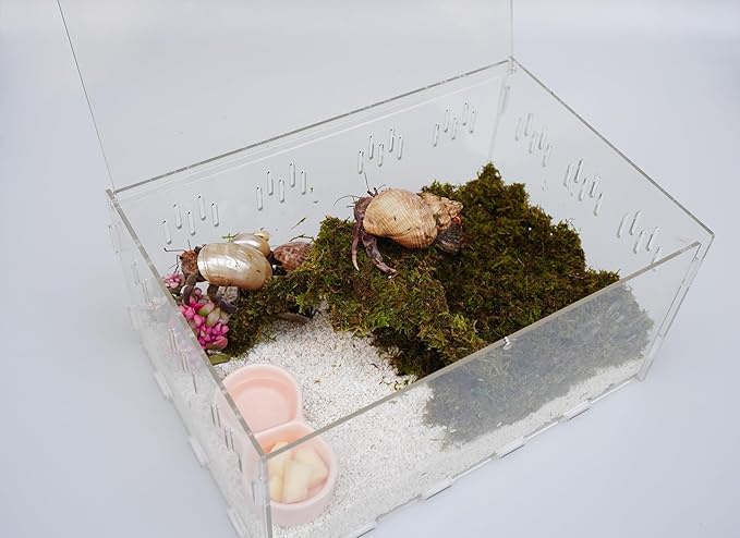 Hermit Crab Tank, Starter Cage Kit with 7 Inch Adjustable Climbing Toys and 3.5oz Substrate