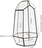 Geometric Glass Terrarium for Indoor Plants,Irregular Clear Planter,Black Opened Container Pot for Cacti,Succulents and Moss,Home Garden Office Tabletop Decor,6.5x5.7x9.8'' No Door
