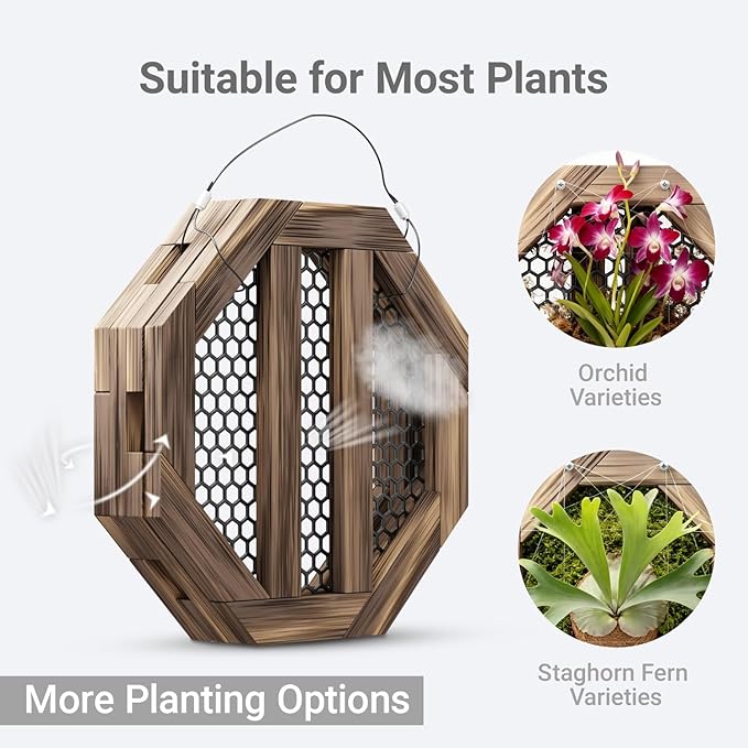 10.5 Inches Staghorn Fern Mounting Kit Orchid Mounting Wood Hanging Plant Frame Wall Planter Plant Holder Basket for Orchids Staghorn Fern Tropical Plants (265x265x60mm)