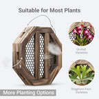 10.5 Inches Staghorn Fern Mounting Kit Orchid Mounting Wood Hanging Plant Frame Wall Planter Plant Holder Basket for Orchids Staghorn Fern Tropical Plants (265x265x60mm)