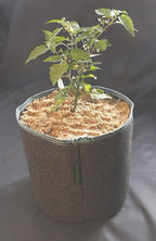 HORTIPOTS Fabric Pots 1 Gallon Non So Floppy Air Pruning Cloth Grow Bags Black Gray (Pack of 6)