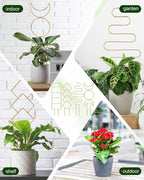 4 Pack Trellis for Climbing Plant Indoor, Small Metal Garden Trellis for Potted Plants Outdoor, Stake Mini Houseplant Trellis Support for Hoya, Vines, Pothos, Monstera (Gold)