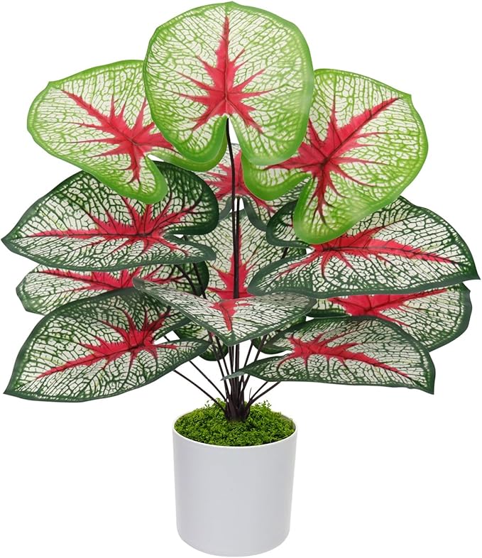 Artificial Caladium Plant with Red and Green Leaves, Red Leaf Artificial Plants Decoration Simulated Bonsai Potted Decor Home Room Party Wedding Office Floor (White(No Flowerpot), 60cm)
