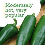 Bonnie Plants Jalapeno Pepper Plug, Live Plant, A Popular Chile Pepper, Full Sun, 3 Cubic in., 6 Pack