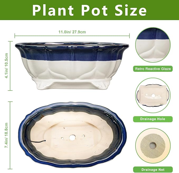 11 Inch Succulent Planters - Ceramic Bonsai Pots with Drainage Hole, Bonsai Planter for Indoor Outdoor Plants, Large Shallow Planter, Patio Garden Decor, Gifts for Plant Lover, Oval Beige-Blue