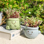 Cute Face Planter Pot, Small Resin Head Planters for Indoor Plants, Funny Smiling Face Flower Pot Succulent Planter with Drainage Hole, Gift IdeaI for Birthday Christmas (Blue)