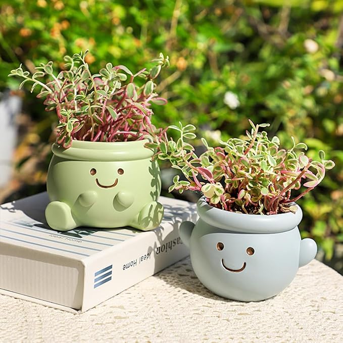 Cute Face Planter Pot, Small Resin Head Planters for Indoor Plants, Funny Smiling Face Flower Pot Succulent Planter with Drainage Hole, Gift IdeaI for Birthday Christmas (Blue)